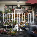 16-04-2005 Glennis Grace at flowershop in Amsterdam, by order of Pulse Magazine. April 16, 2005.

[keywords]Posed, Flowers[/keywords]